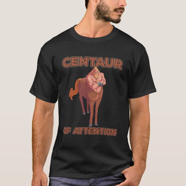 Centaur Of Attentions Pullover Hoodie (Front)