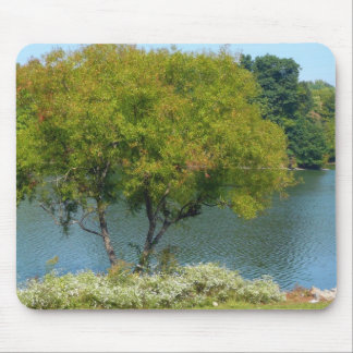 Centennial Lake in Ellicott City Maryland Mouse Pad