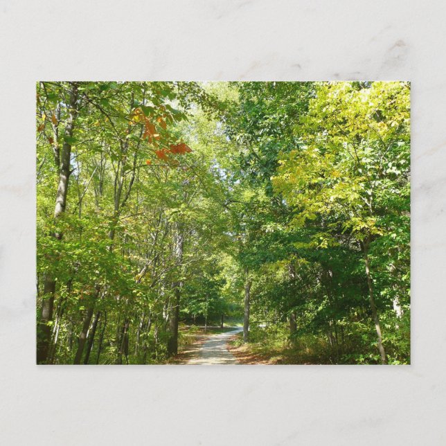 Centennial Wooded Path I Ellicott City Nature Postcard (Front)