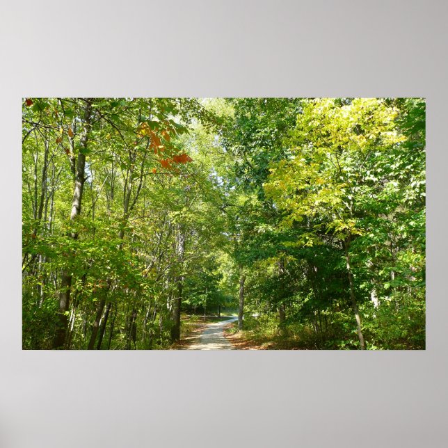 Centennial Wooded Path I Ellicott City Nature Poster (Front)