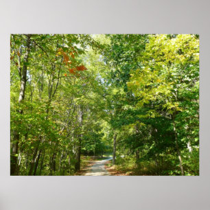 Centennial Wooded Path I Ellicott City Nature Poster