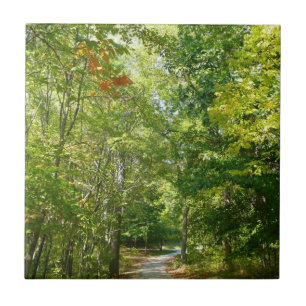 Centennial Wooded Path I Ellicott City Nature Tile