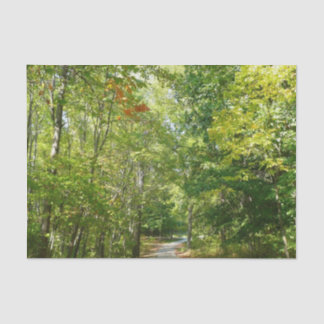 Centennial Wooded Path I Ellicott City Nature Tissue Paper