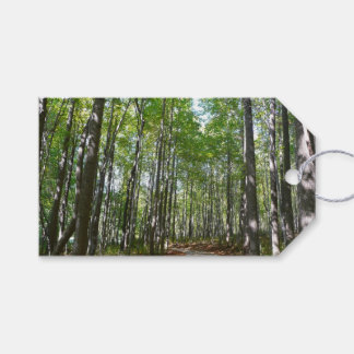 Centennial Wooded Path II Ellicott City Maryland Gift Tags