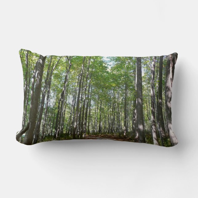 Centennial Wooded Path II Ellicott City Maryland Lumbar Cushion (Front)
