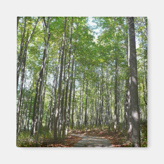 Centennial Wooded Path II Ellicott City Maryland Magnet