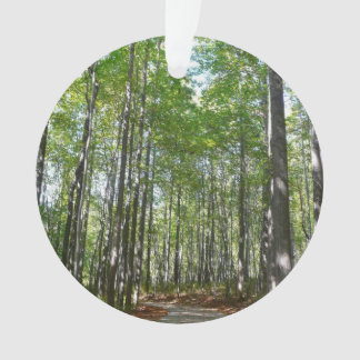 Centennial Wooded Path II Ellicott City Maryland Ornament