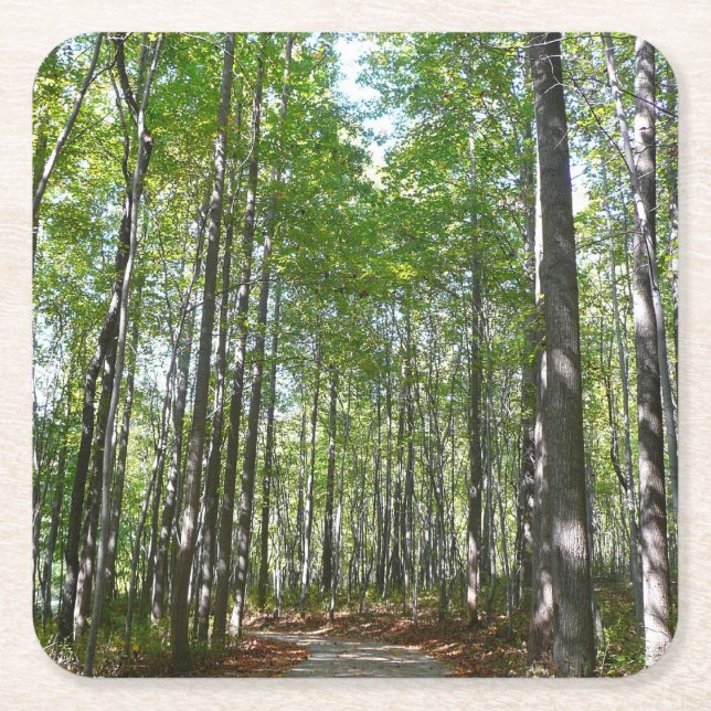Centennial Wooded Path II Ellicott City Maryland Square Paper Coaster (Front)