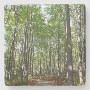 Centennial Wooded Path II Ellicott City Maryland Stone Coaster