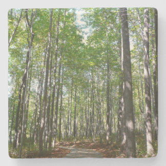 Centennial Wooded Path II Ellicott City Maryland Stone Coaster