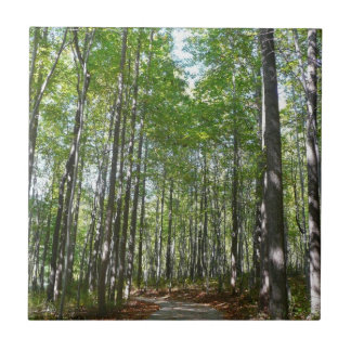 Centennial Wooded Path II Ellicott City Maryland Tile