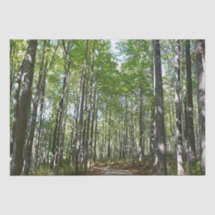 Centennial Wooded Path II Ellicott City Maryland Tissue Paper