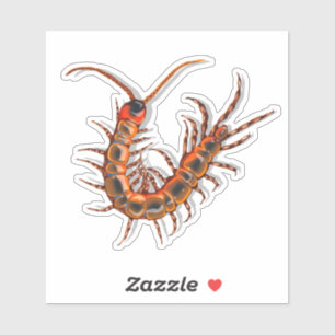 Centipede 