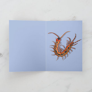Centipede  card