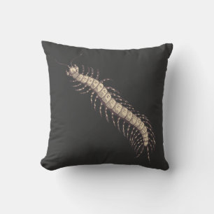Centipede Pillow