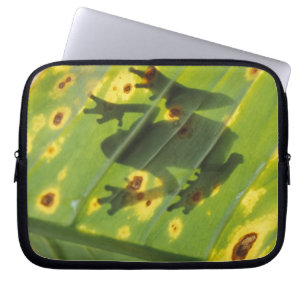 CENTRAL AMERICA, Costa Rica, Back-lit frog on Laptop Sleeve