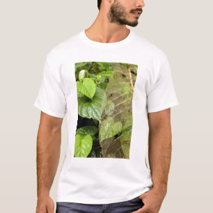 Central America, Costa Rica, Sarapiqui, Braulio T-Shirt