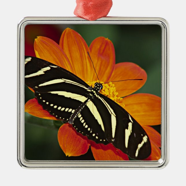 Central America, Costa Rica, Selva Verde Metal Tree Decoration (Front)