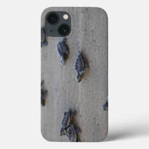 Central America, El Salvador, Pacific Ocean iPhone 13 Case