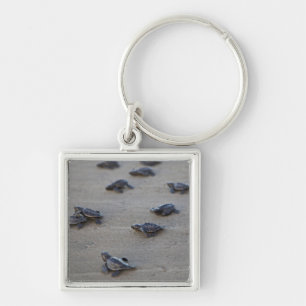 Central America, El Salvador, Pacific Ocean Key Ring