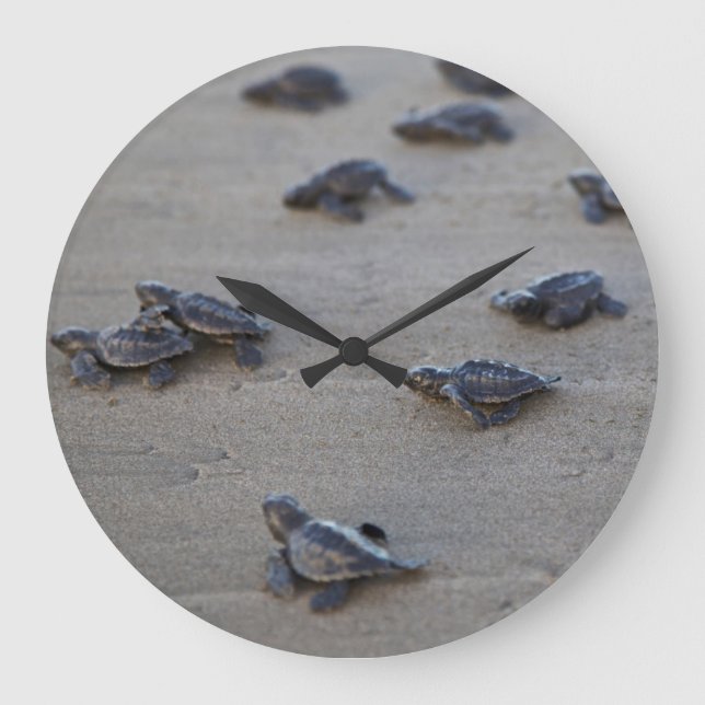 Central America, El Salvador, Pacific Ocean Large Clock (Front)