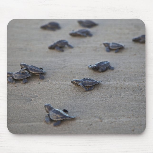 Central America, El Salvador, Pacific Ocean Mouse Pad (Front)