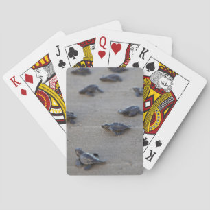 Central America, El Salvador, Pacific Ocean Playing Cards
