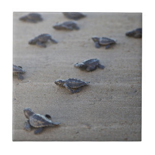 Central America, El Salvador, Pacific Ocean Tile