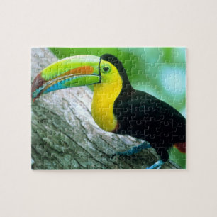 CENTRAL AMERICA, Panama, Borro Colorado Island 2 Jigsaw Puzzle