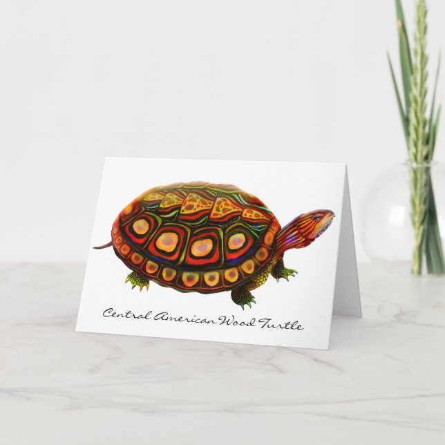 Central American Wood Turtle Greeting Card (Front)