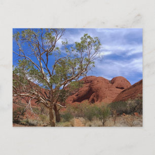 Central Australia Postcard