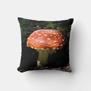 Central Cascades, Washington State Cushion