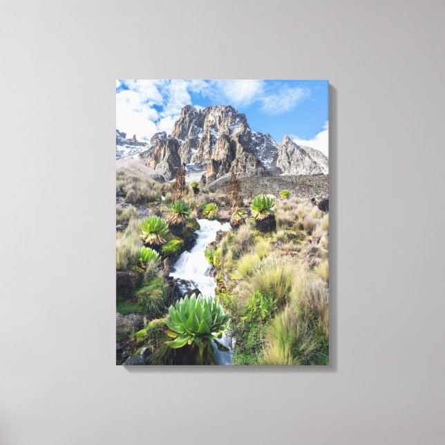 Central Mount Kenya National Park Canvas Print (Front)