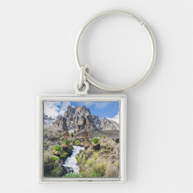 Central Mount Kenya National Park Key Ring (Front)