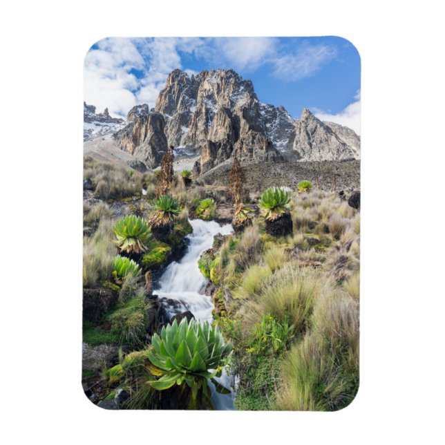 Central Mount Kenya National Park Magnet (Vertical)