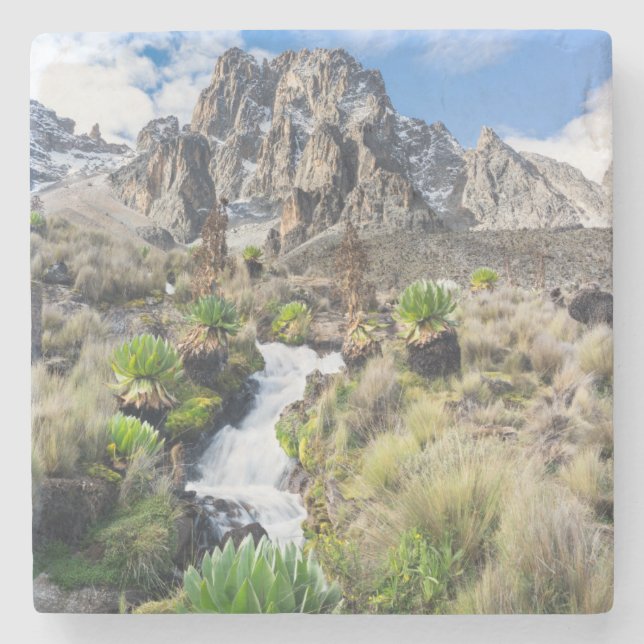 Central Mount Kenya National Park Stone Coaster (Front)