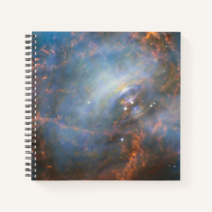 Central Neutron Star In The Crab Nebula. Notebook
