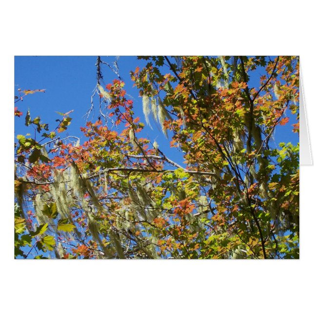 Central Oregon Fall (Front Horizontal)