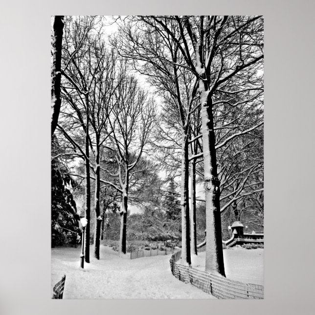 Central park 2010 Snow - CIMG6447-a Poster (Front)