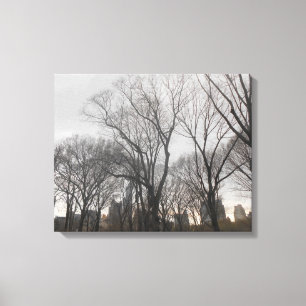 Central Park-2 Canvas Print