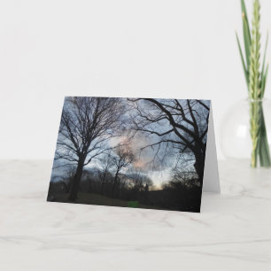 Central Park B Card