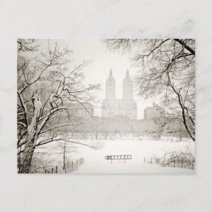 Central Park - Beautiful Winter Snow Postcard