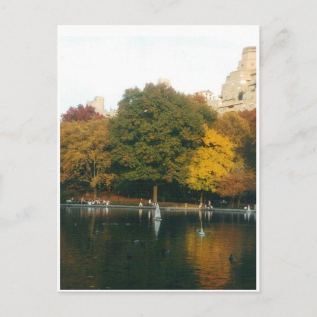 Central Park Boat Pond in Autumn Postcard (Front)