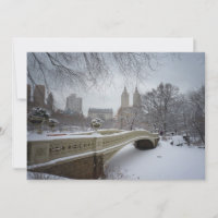 Central Park Bow Bridge - New York  Winter Wedding