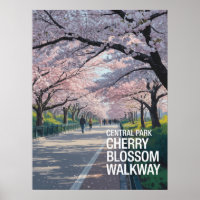 Central Park Cherry Blossom Walkway
