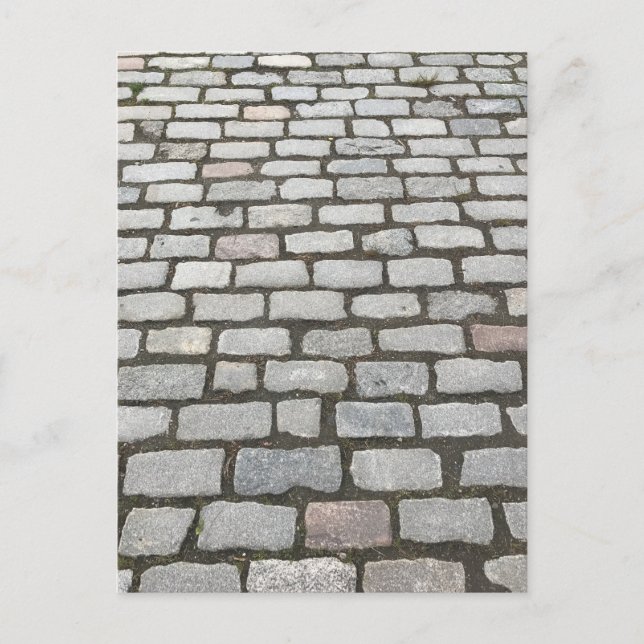 Central Park Cobblestones Stone Pathway NYC Photo Postcard (Front)