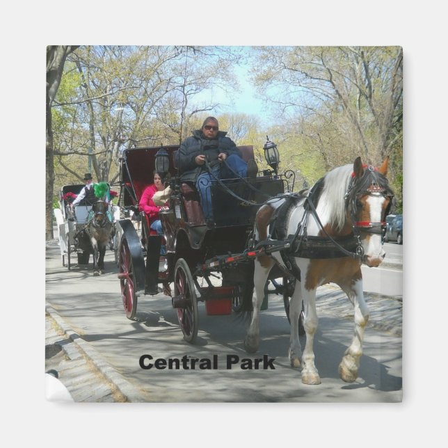Central Park, Horse and Carriage Magnet (Front)