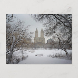 Central Park in the Snow, New York City Postcard