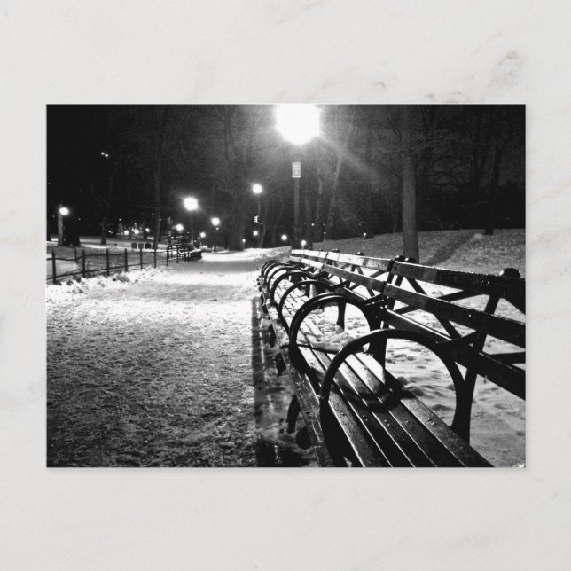 Central Park in Winter Postcard (Front)