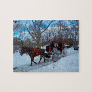Central Park Jigsaw Puzzle